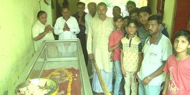 Bayi Sapi Mirip Manusia Bikin Geger