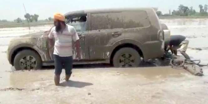 Petani Tak Mau Kepanasan, Mobil Pajero Dipakai Bajak Sawah