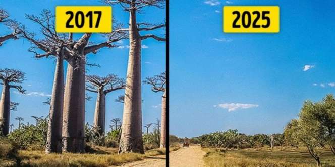 Peringatan! 10 Tempat Keren Ini Akan Hilang dalam Waktu Dekat