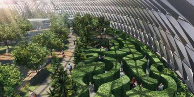 Siap Dibuka, Begini Kerennya Canopy Park Jewel Changi Airport 