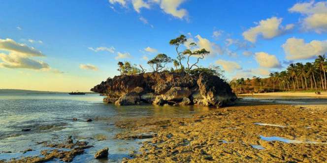 Saingi Monaco dan Maladewa, Selayar Jadi Surga Wisata Marina