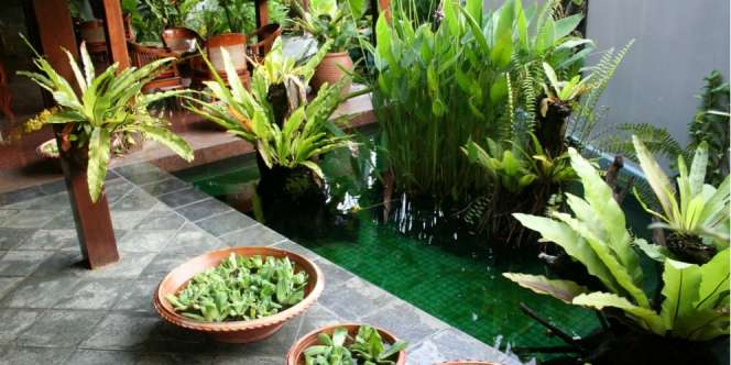 Elemen Air dalam Rumah Berikan Ketenangan