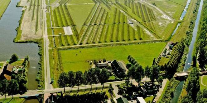 Keren! Bandara Amsterdam Atasi Polusi Suara dengan 'Land Art'
