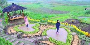 Mudik ke Malang? 'Ngadem' Yuk di 5 Desa Wisata Ini