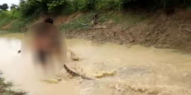 2 Bocah Tangkap dan Permainkan Ular, Astaga Setelah Itu...