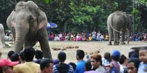 120 Anak Terpisah dari Orangtua Saat Wisata di Ragunan