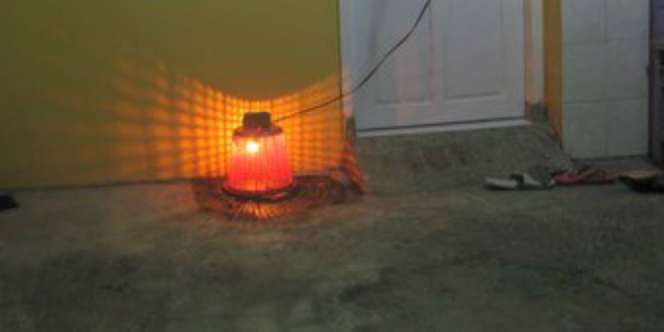  Hukum Mengubur Plasenta Bayi Disertai Benda-benda