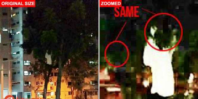 Misteri Kuntilanak Duduk di Pohon Bukit Batok Terbongkar