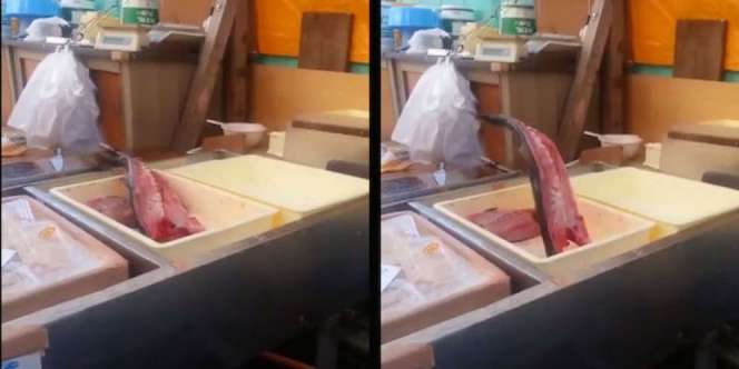 Sudah Dicincang, Daging Ikan Ini Tiba-tiba Hidup...