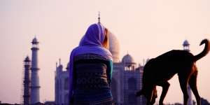 Batasan Memelihara Anjing Bagi Umat Islam