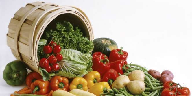 Pentingnya Menjaga Kualitas Nutrisi dalam Makanan