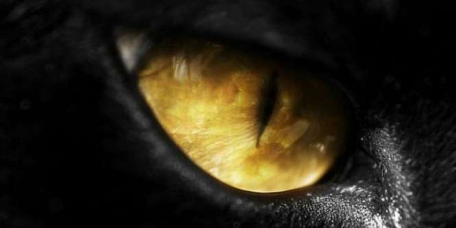 Lakukan 2 Hal Ini Agar Aurat Tidak Dilihat Jin