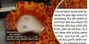 Sopir Bus Resah, Astaga Saat Cek Kursi Penumpang Terselip...