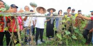 Bupati Anas Apresiasi Kreativitas Petani Banyuwangi