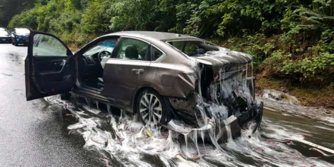 Belut 3,4 Ton Tumpah di Jalan Raya, Akibatnya Mengerikan