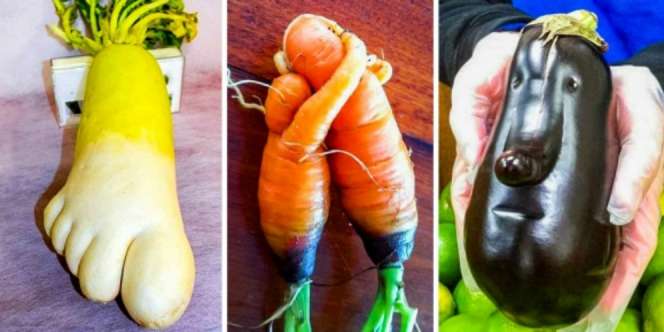 10 Jenis Sayuran Teraneh di Dunia