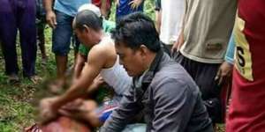 Viral, Video Buaya Antar Mayat ke Pinggir Sungai di Berau