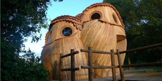 Merasakan Keunikan Tinggal di Rumah Berbentuk Burung Hantu