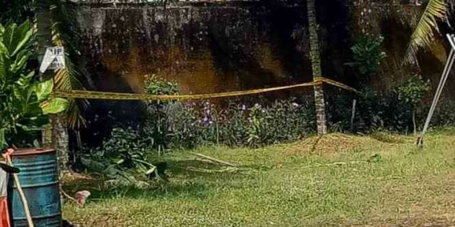 Cucu Musisi Terkenal Indonesia Meninggal Tercebur Sumur