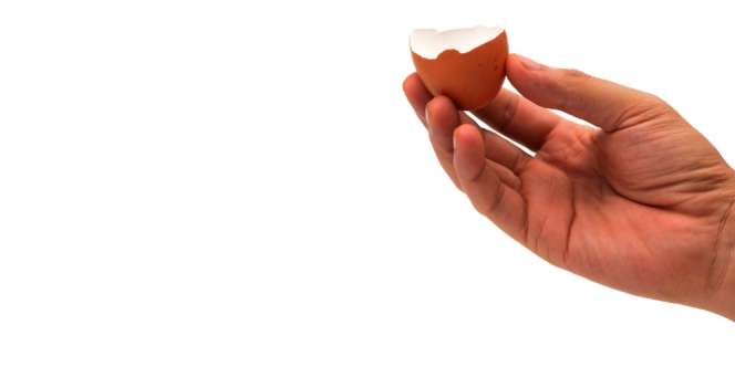 Modal Cangkang Telur dan Plastik, Pria Ini Gajian Rp 10 Juta