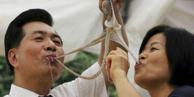 7 Makanan Mengerikan yang Banyak Dikonsumsi Manusia