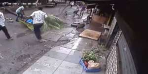 Mantan Penyiar Televisi Tewas Tertimpa Pohon Kelapa