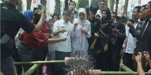 Banyuwangi Kenalkan Potensi Bisnis Kambing Etawa