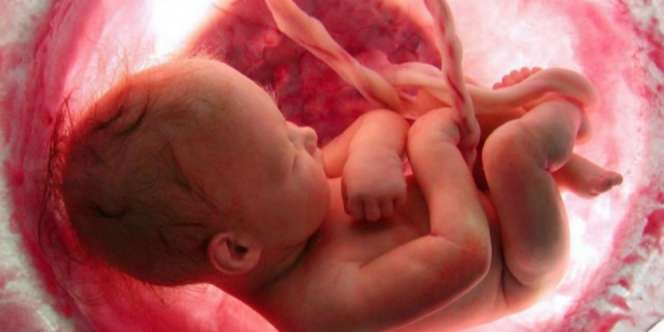 Tata Cara Penguburan Plasenta Bayi yang Meninggal dalam Islam