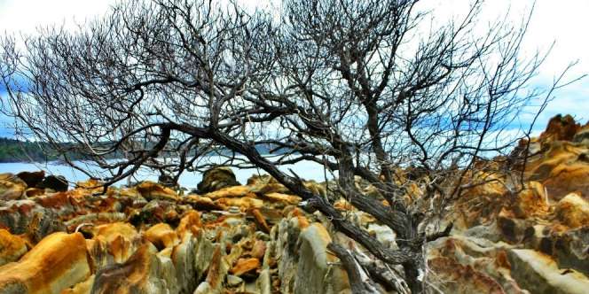 Suka Wisata Alam? Coba Kunjungi 6 Objek di Geopark Ciletuh Ini