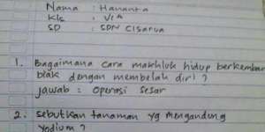 Jawaban Nyeleneh Bocah SD Saat Ujian Buat Guru Terkejut