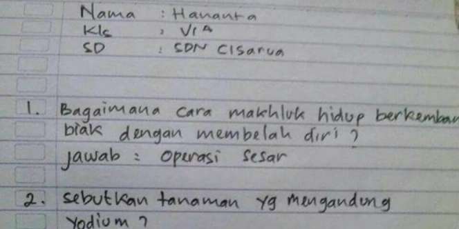 Jawaban Nyeleneh Bocah SD Saat Ujian Buat Guru Terkejut