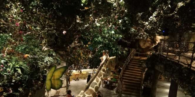Sensasi Unik, Makan di Belantara Hutan di Tengah Jakarta