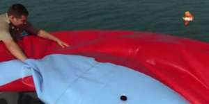 Ketiduran di Atas Balon Mainan, Lihat yang Terjadi