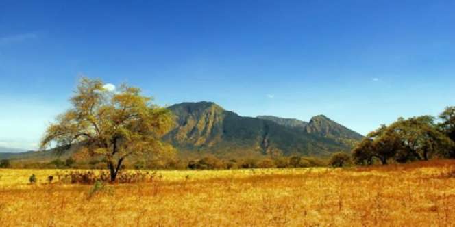 Banyuwangi Tuan Rumah `Festival Taman Nasional 2017`