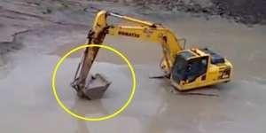 Detik-detik Pertarungan Menegangkan Buaya Vs Eskavator