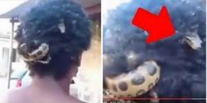 Geger, Ada Seekor Ular Bersarang di Rambut Pria Ini