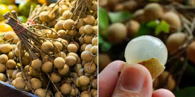 Tragis, Bocah Mungil Meninggal Tersedak Buah Lengkeng