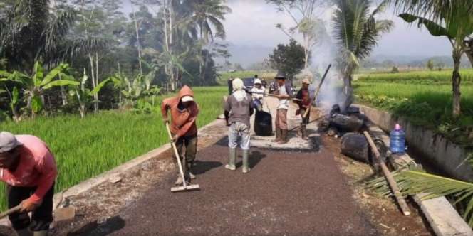 Jokowi Pamer Hasil Pembangunan dari Dana Desa