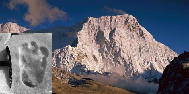 Kisah 60 Tahun Pencarian Makhluk Legenda `Yeti`, Hasilnya...