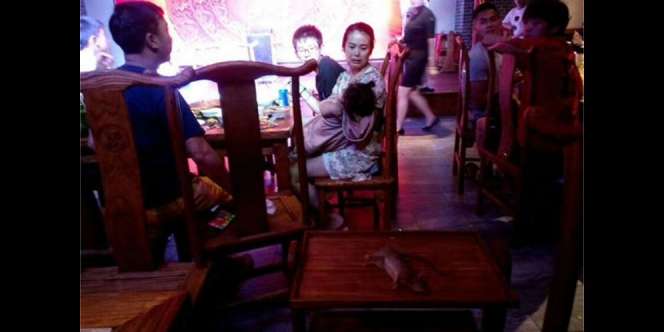 Kejatuhan Tikus Saat Makan di Restoran Mewah, Jadinya...