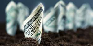Mau Beli Tanah untuk Investasi? Ikuti 3 Langkah Ini