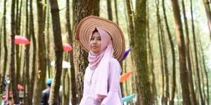 Larasitha: Tersihir Hutan Pinus Semeru