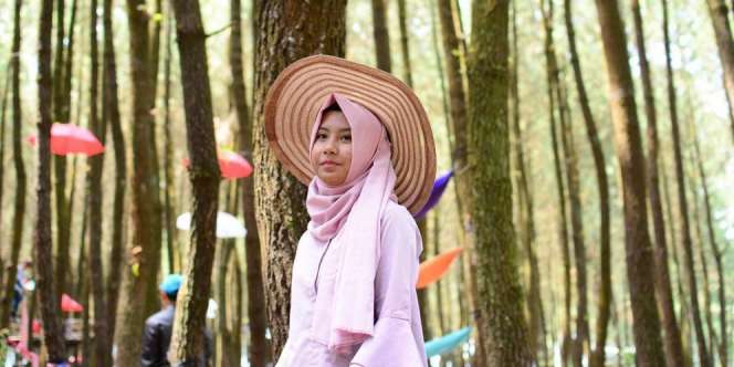 Larasitha: Tersihir Hutan Pinus Semeru