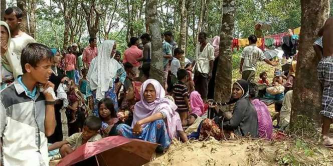Tragedi Rohingya, Daqu Kirim Tim Relawan Kemanusiaan