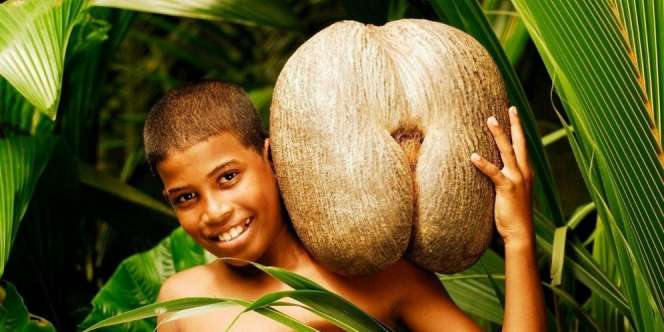 Dianggap Buah Terlarang, Tapi Diincar Pangeran Timur Tengah