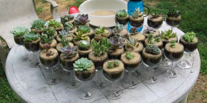 Tren Gelas Berkaki Jadi Pot Terrarium, Unik!