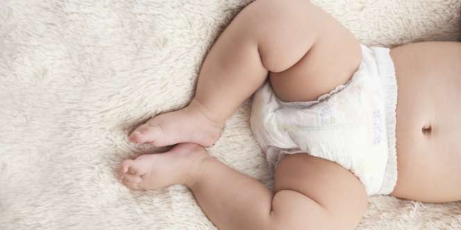 Popok Bayi Unik Ini Harganya Rp932 Ribu