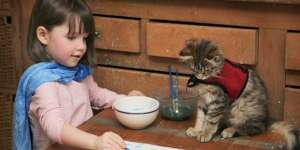 Persahabatan Kucing Lucu dan Gadis Kecil dengan Autisme