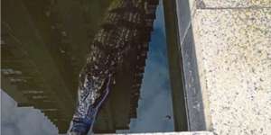 Sosok di Kolam Perumahan Bikin Warga Shock, Astaga!