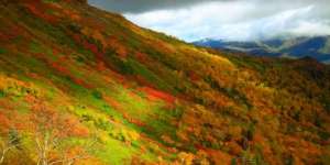 4 Hal Ini Bikin Orang Indonesia Jadi Suka Liburan ke Hokkaido